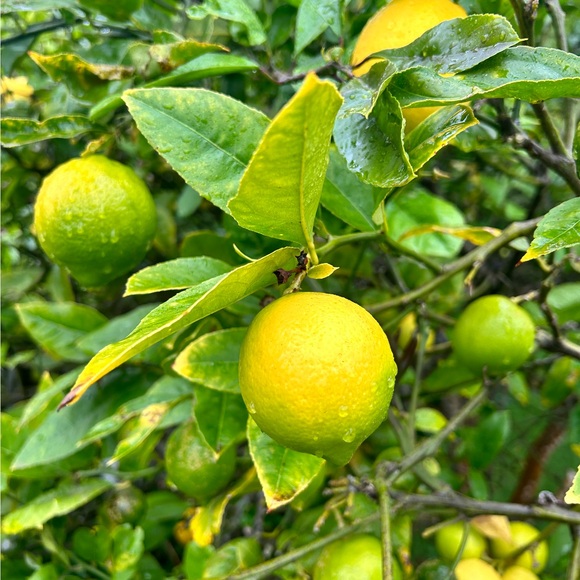 more_4you